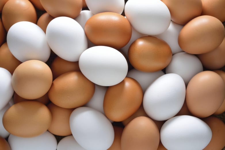 Brown eggs vs white eggs nutrition grades