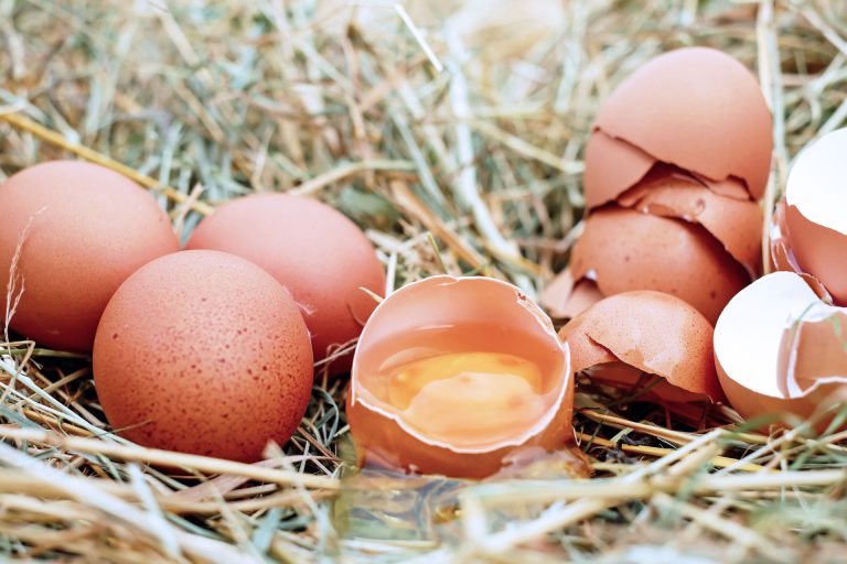 Egglands Best Recall 2022