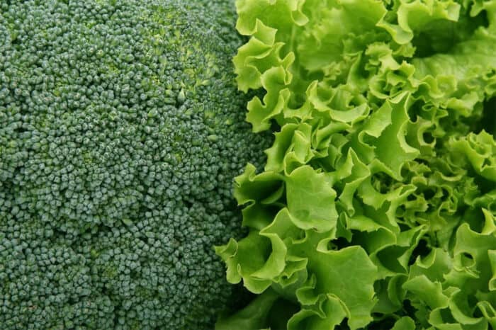 Dark Leafy Green Broccoli Lettuce