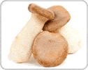 king_oyster_mushrooms_126