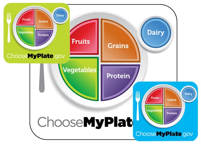 Food Pie Chart Usda