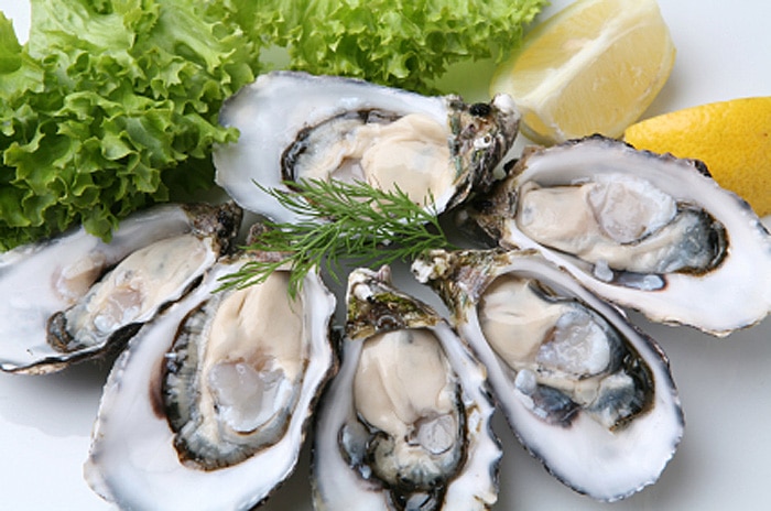 Oyster makanan Resep Australian