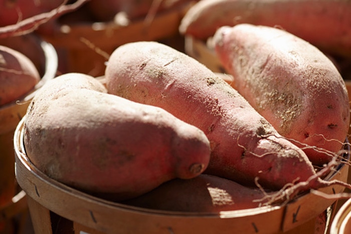 Are sweet potatoes sprayed with chemical Bud Nip?