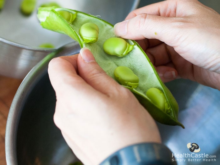 Fava Beans Pod