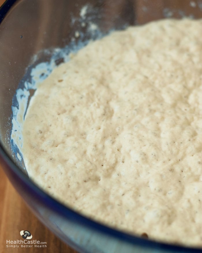 Dough is fermenting