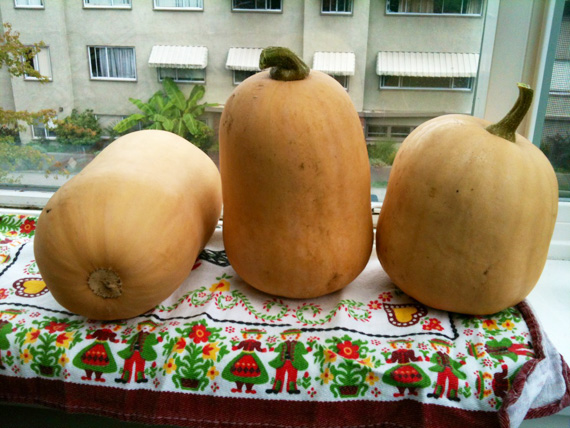 Variety of squash on a window sill
