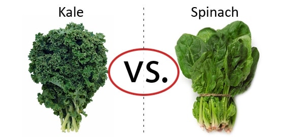 Nutrition Faceoff: Kale vs. Spinach | HealthCastle.com