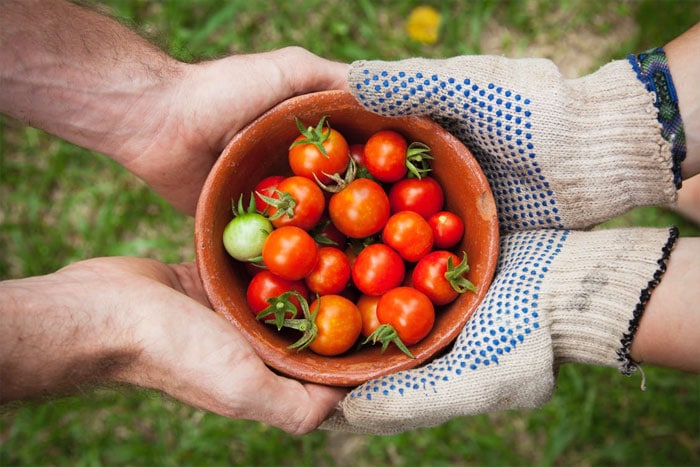 prostate lycopene tomato