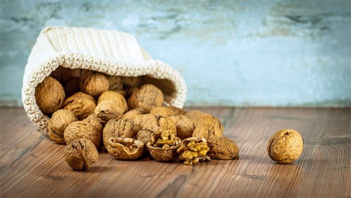 Walnuts pouring our of a knitted bag