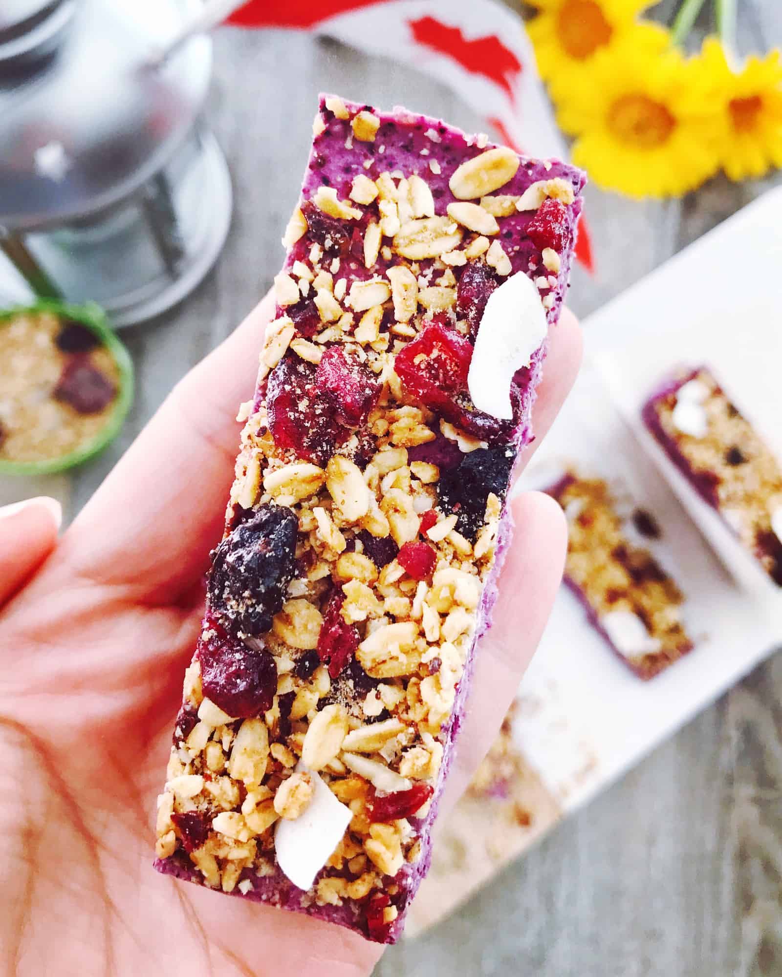 raw granola bars