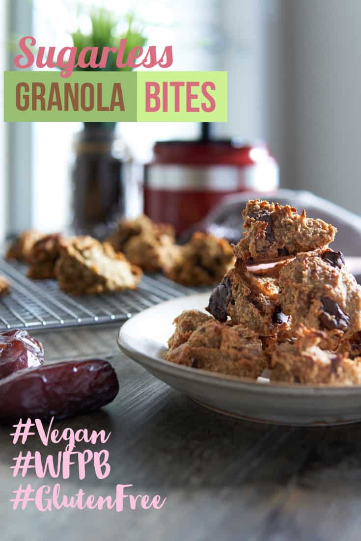 Vegan Granola Bites