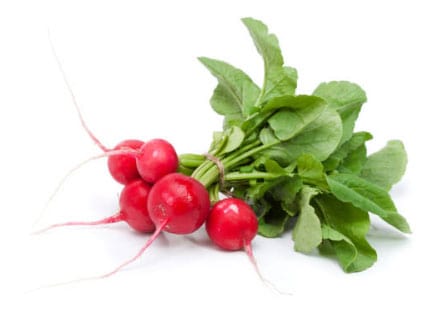 Radish - One of the lowest carb root vegetables