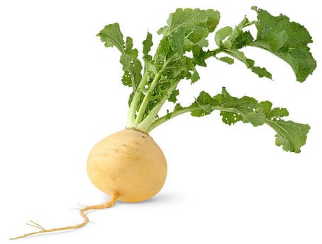 Turnip